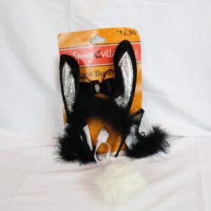 Halloween Spooky Village Black Bunny Kit