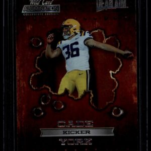 2021 Wild Card Alumination Collegiate Edition Dead Aim Cade York ANDA-25 Kicker